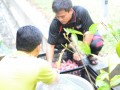 Tn dsc 0136